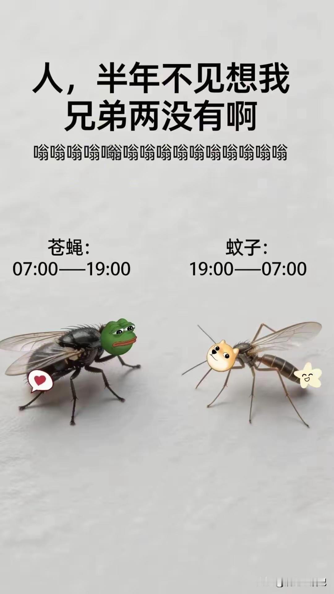 大家好，我们兄弟俩又要闪亮登场了……你一口我一口。同志们心里乐悠悠……