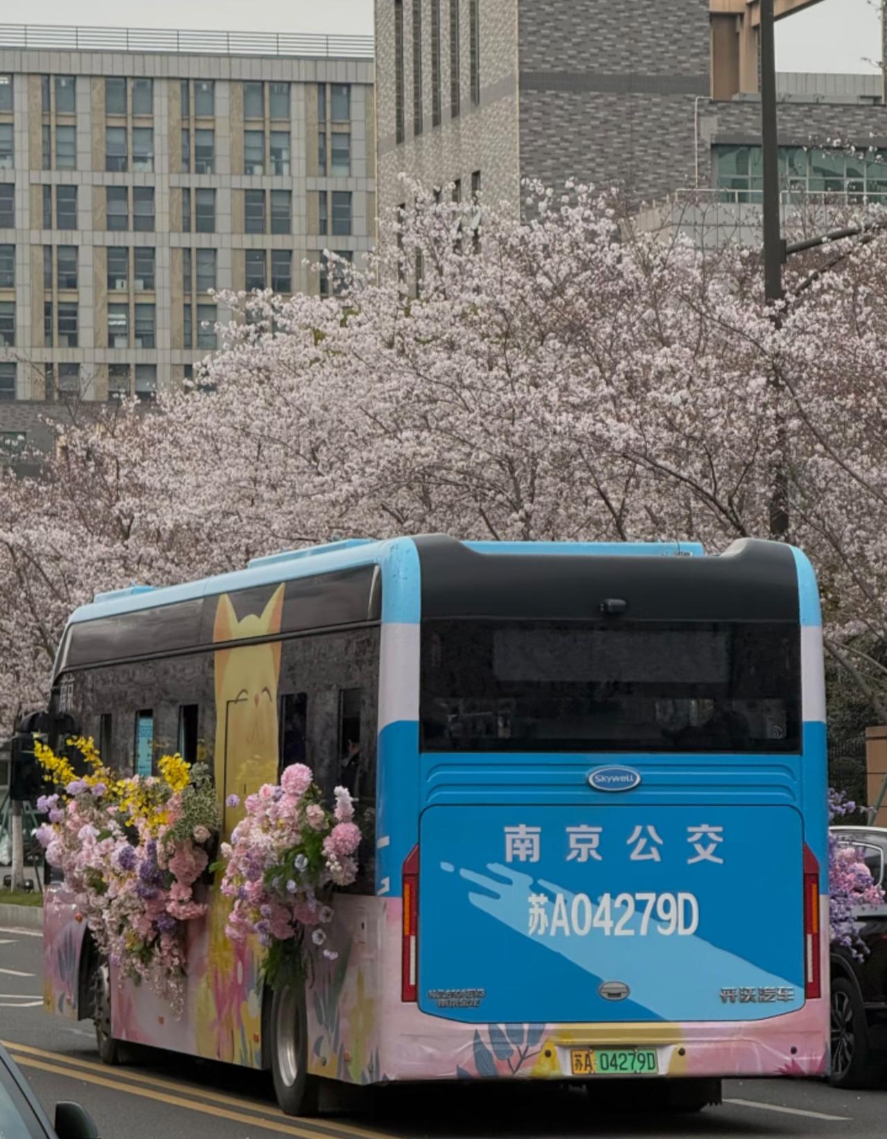南京鲜花巴士也太浪漫了！南京真的是个很浪漫的城市，每次去总能在不经意间遇到惊