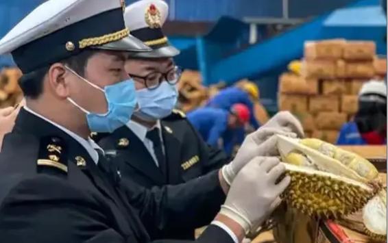 中国消费者做梦都想不到，自己花高价买的泰国进口榴莲居然是工业染料喷出来的，在抽检
