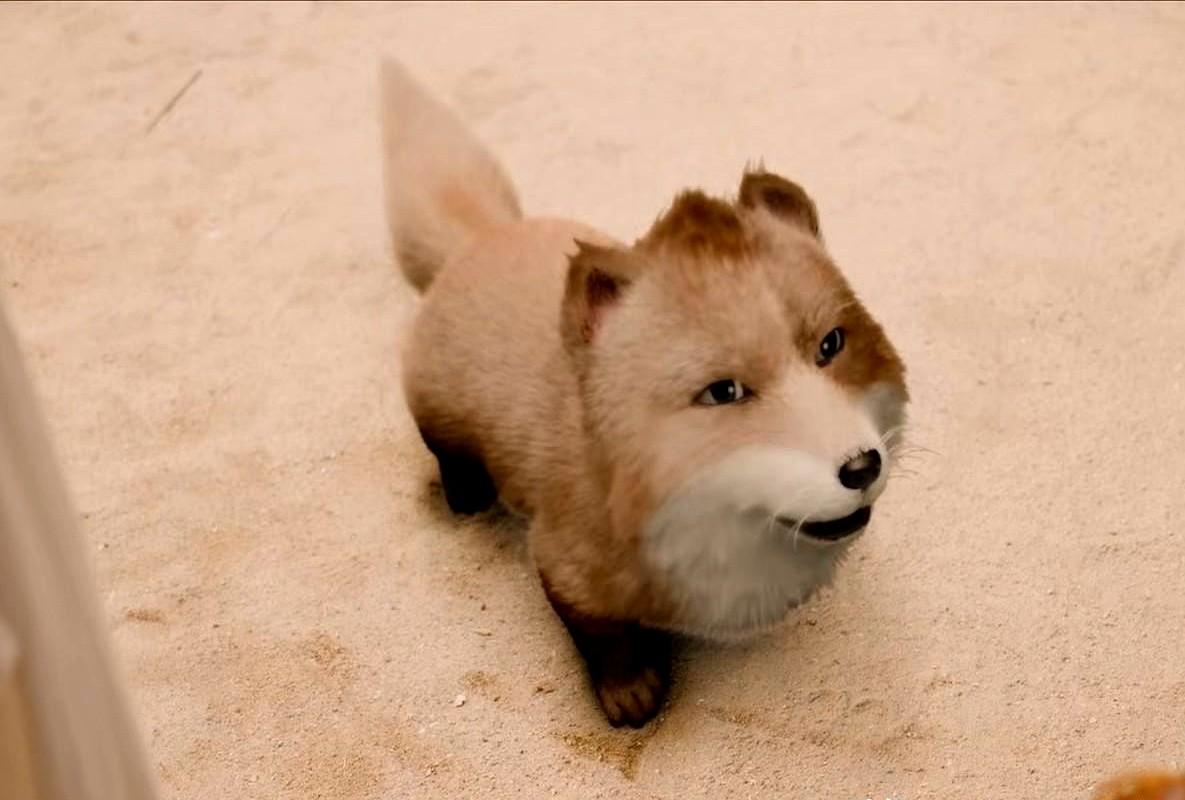 前脚刚听说富贵为了救人，自己把一身剑脉废了，后脚人就给赶到西西域。那边风沙呼