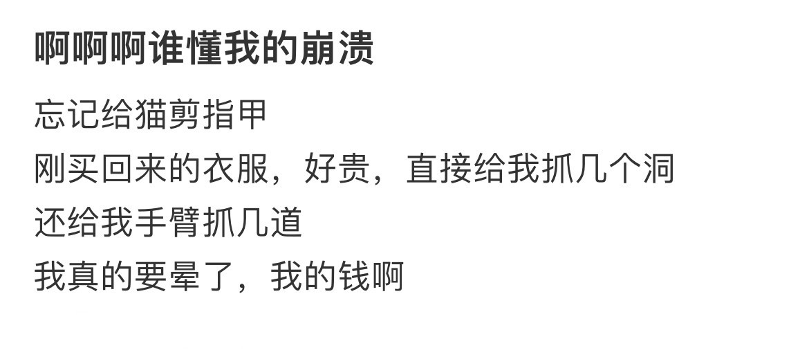 啊啊啊谁懂我的崩溃