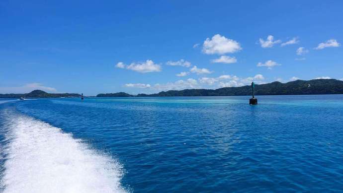 帕劳人称上帝的鱼缸，果不其然，清澈的海水、悬浮的水母、朵朵白云，美极了！