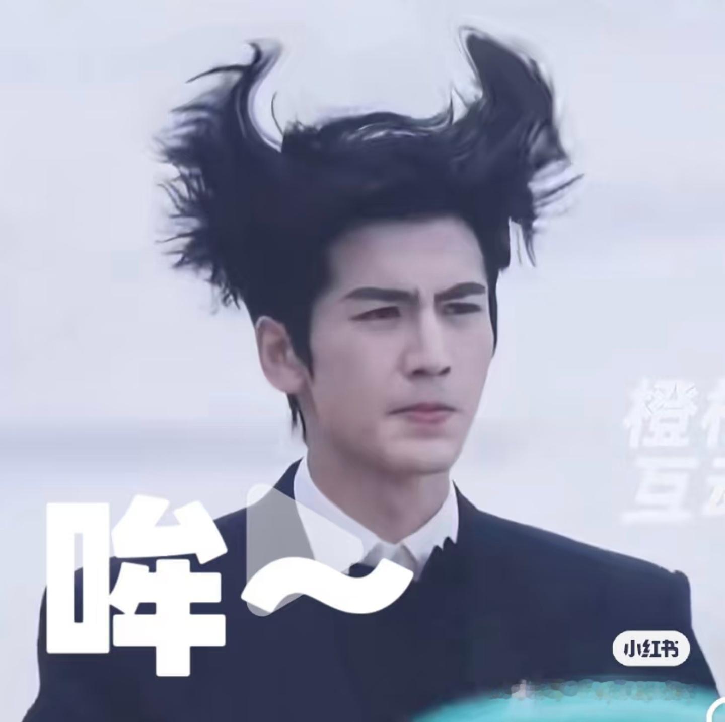 今天的快乐源泉，张凌赫，田栩宁。[大笑][大笑]​​​