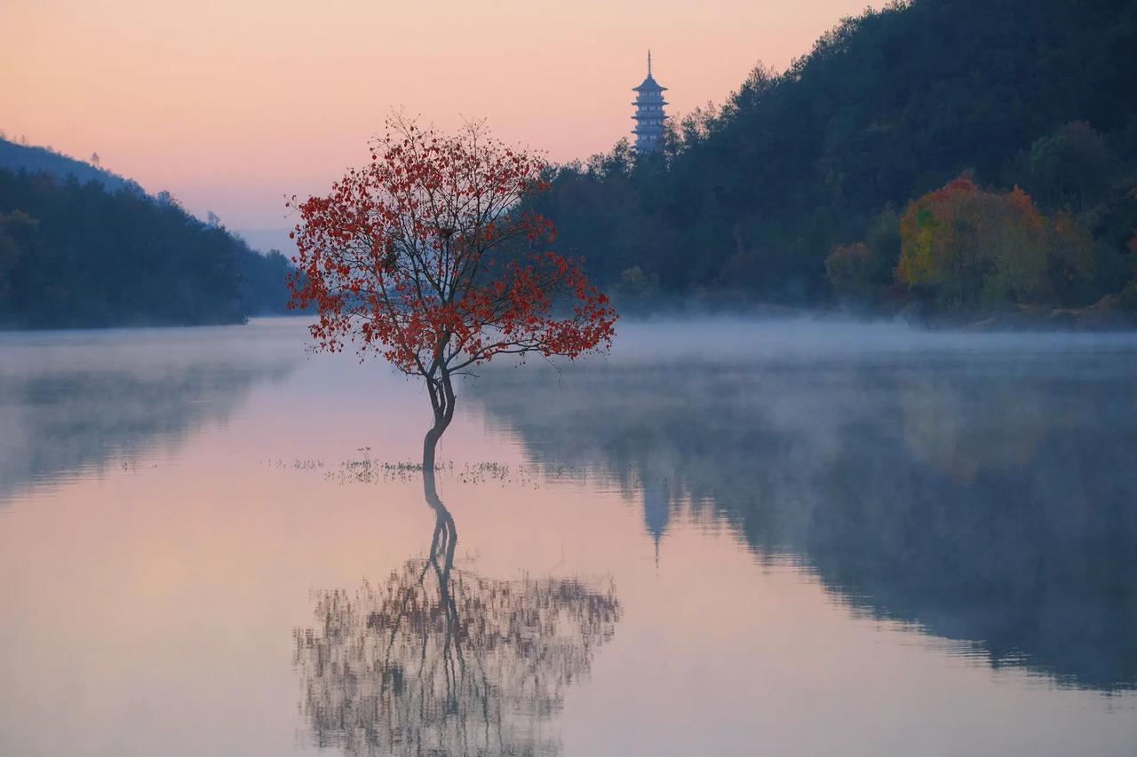为什么有那么多的老百姓都痛恨清王朝？老百姓痛恨清王朝，核心源于近代屈辱、民族压