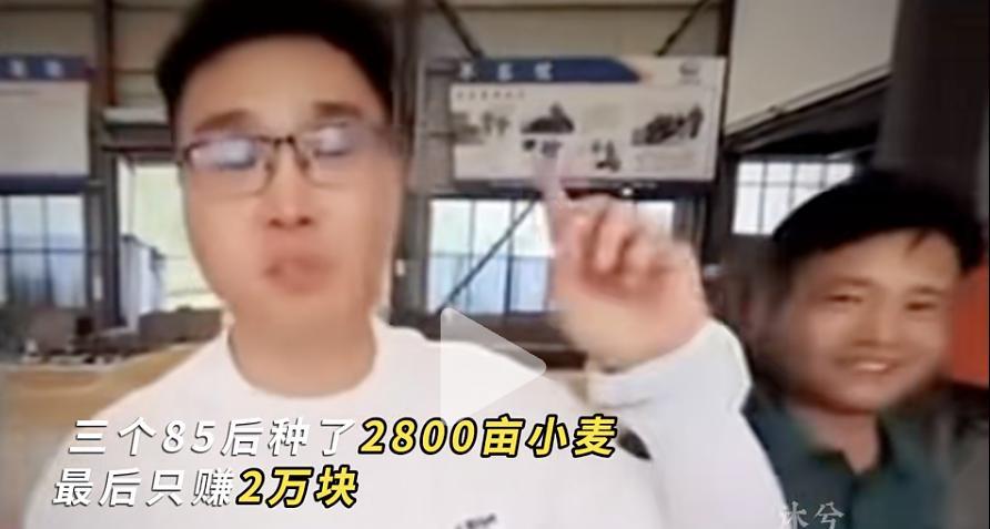 现在种地真是不能干！2800亩小麦，才赚2万元有三个八五后，投资三百多万去种地