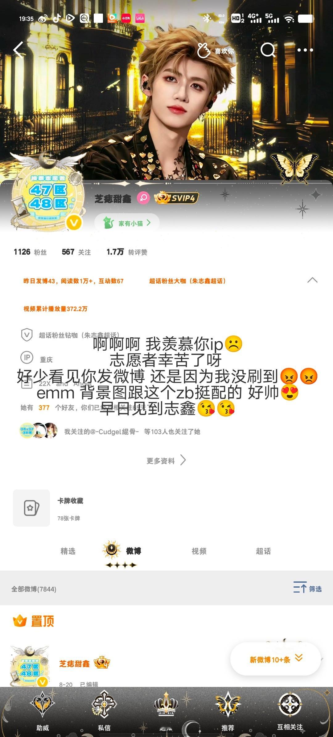 不解释