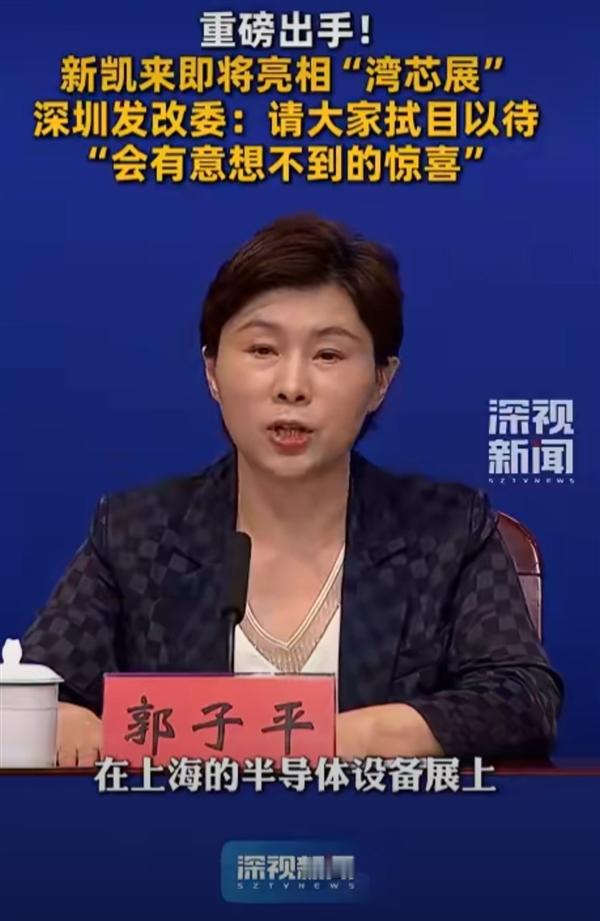 【深圳宣布“中国版阿斯麦”新凯来有新惊喜】新凯来概念股暴涨10月13日消息，有