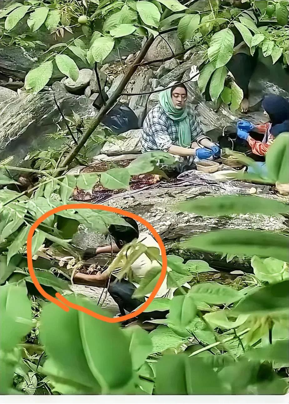 这图片一看就是现场是真实存在的，我们国家森林防火严控，景区明确规定：林区、溪谷密