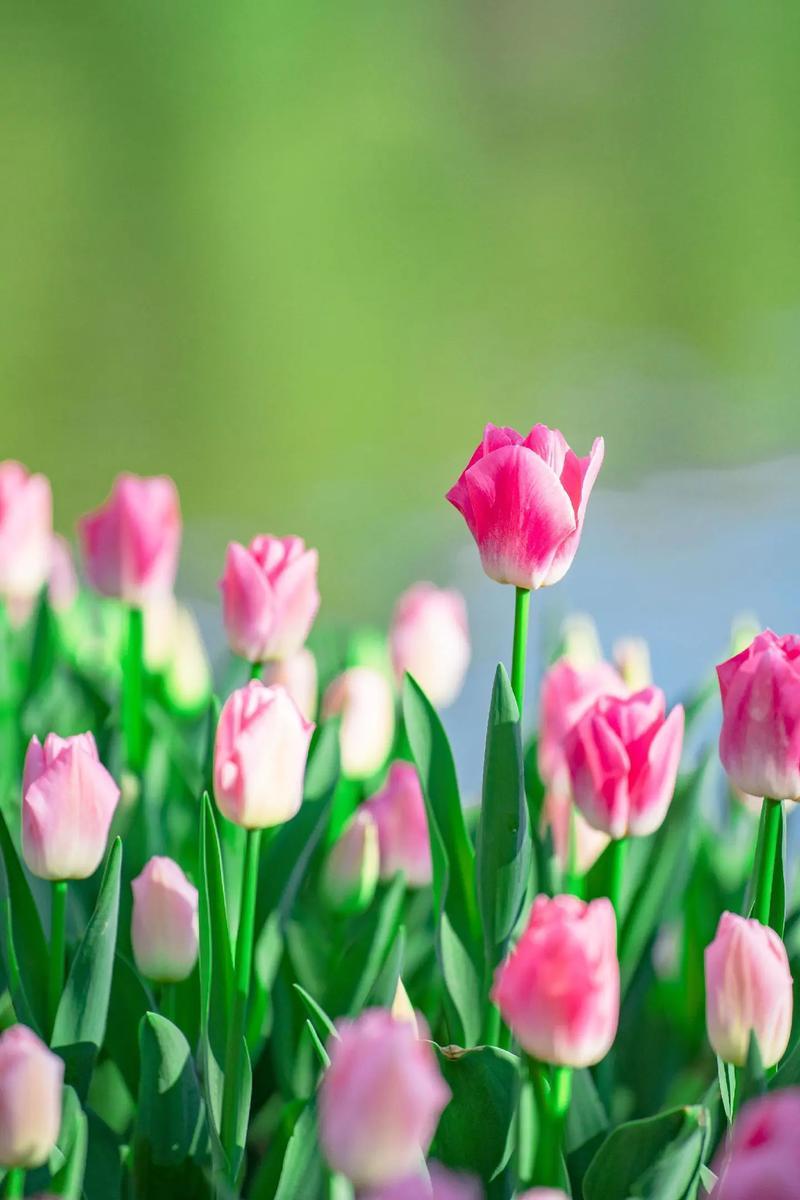 实话说，过得好的中年女人在这几件事上不会太勤快！一、不再频繁社交。她们不