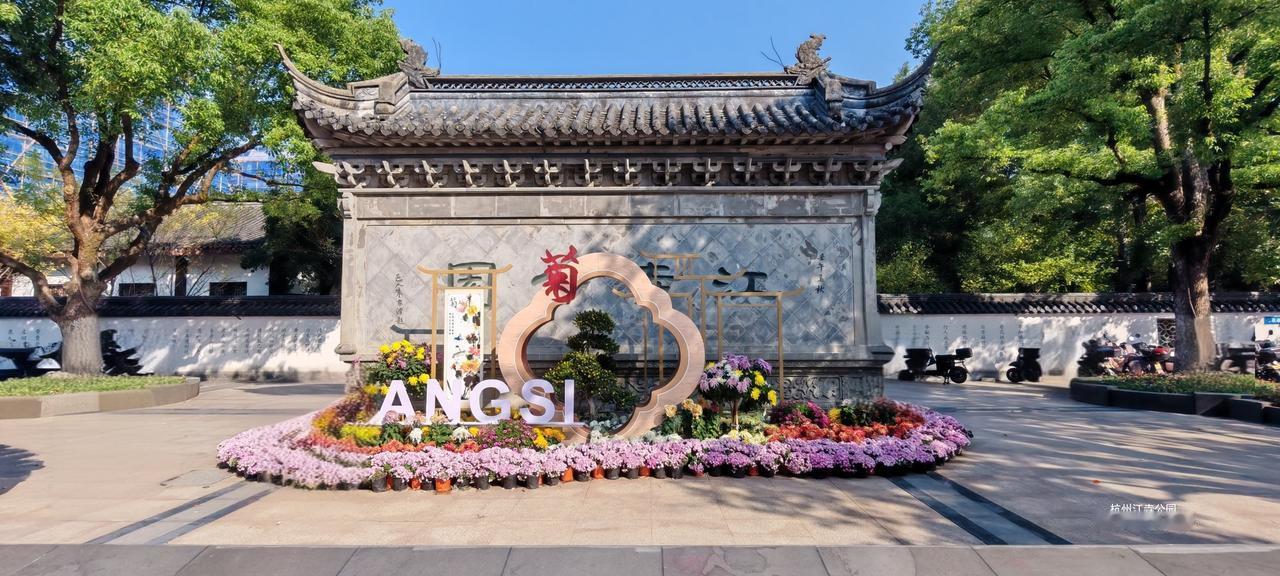 杭州江寺公园的菊花展，虽然没有杭州植物园菊花展的规模宏伟，但有其独特的魅力，在杭