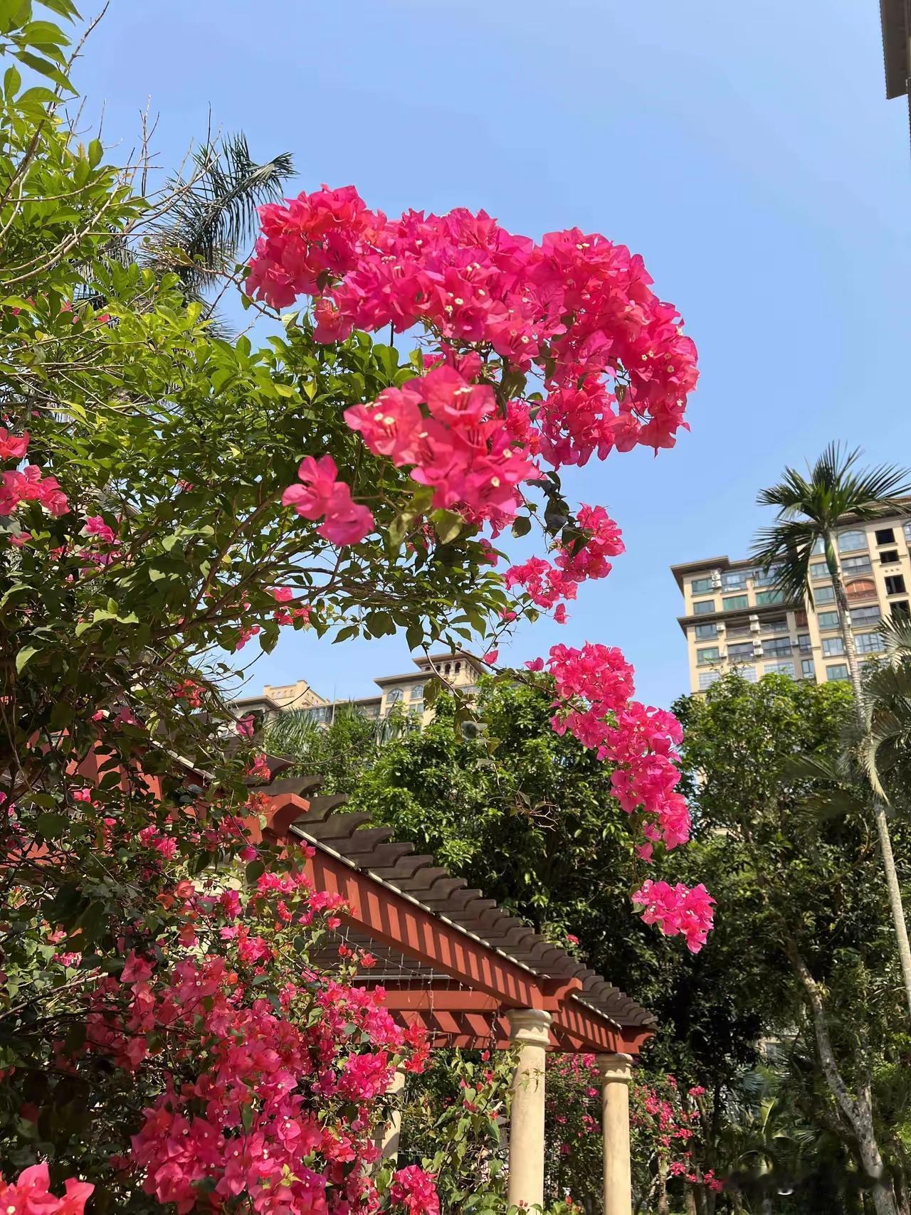 女人该具备的持家能力一、财务管家能力1. 清晰家庭收支，会记账、懂储