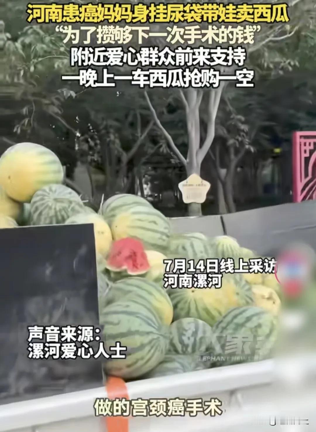 这几天，漯河街头那对卖瓜的母女，成了好多老街坊心里放不下的牵挂。四十度的大太阳
