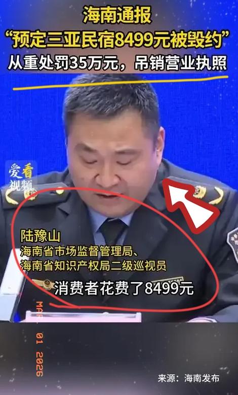 这就是耍小聪明的下场！海南民宿老板贪心毁约，35万罚单教他做人！海南一民宿