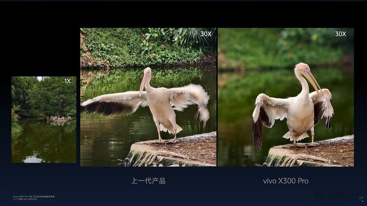 蓝厂影像真的越来越猛了，这次vivox300系列全新升级的生态摄影，直接能用来
