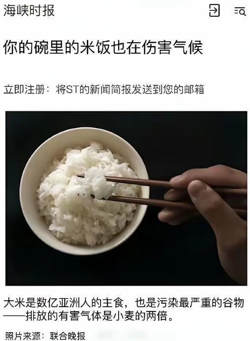 新加坡媒体：你的碗里的米饭也在伤害气候！ 最近新加坡一家媒体发表了一篇惊掉人