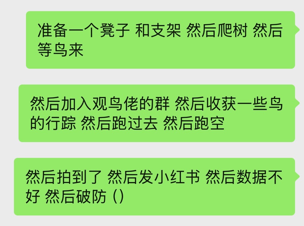 张远休息的时候我们观不到鸟可以去观鸟
