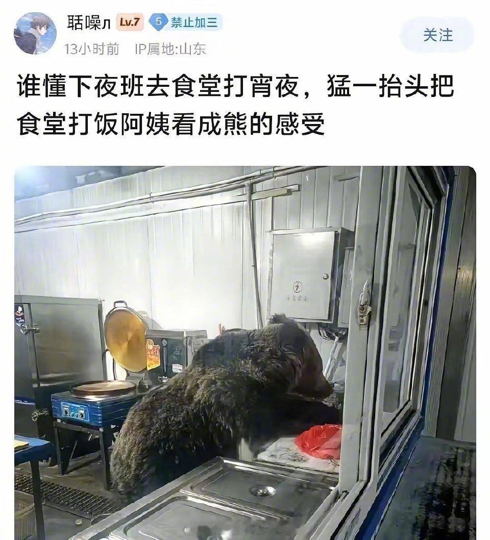 阿姨，对不起，我看了好几遍，还是觉得是熊🥺