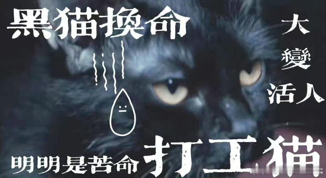 猫妖换命引路木偶大变活人《无忧渡》真的把我的胃口吊的死死的，每一个单元都非常吸引