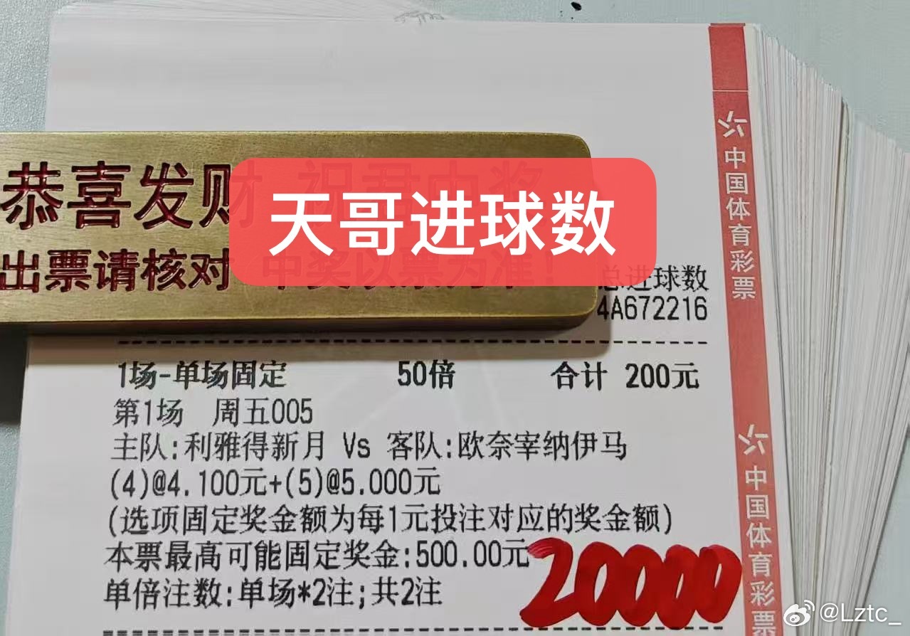 大佬进球数分享