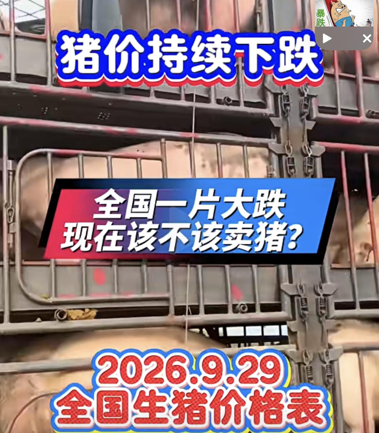这个价，养猪大户能顶住不？至9月底，全国生猪出栏价基本都破5，其正“白菜价”。