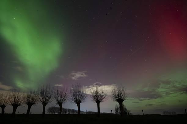 一位退休老干部说：退休后最重要的不是补品，而是你的两条腿。很多人一退休，就开
