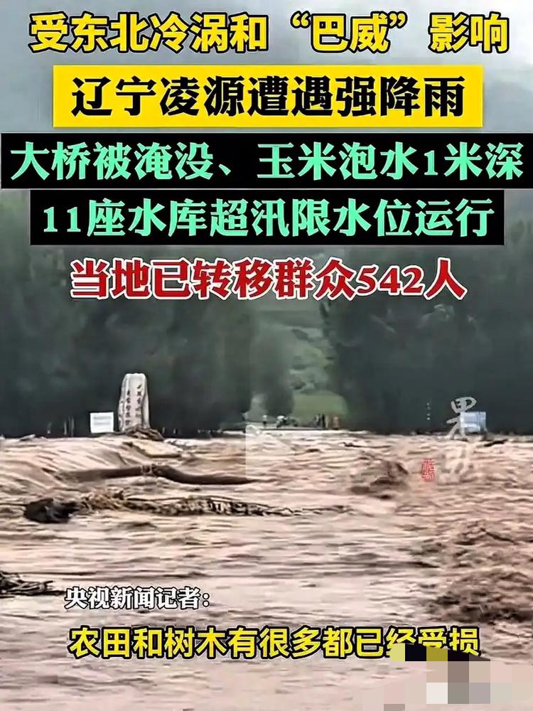 浙江人懵了，江苏人也懵了，估计连辽宁人自己也懵了，大家怎么也没想到，本来应该