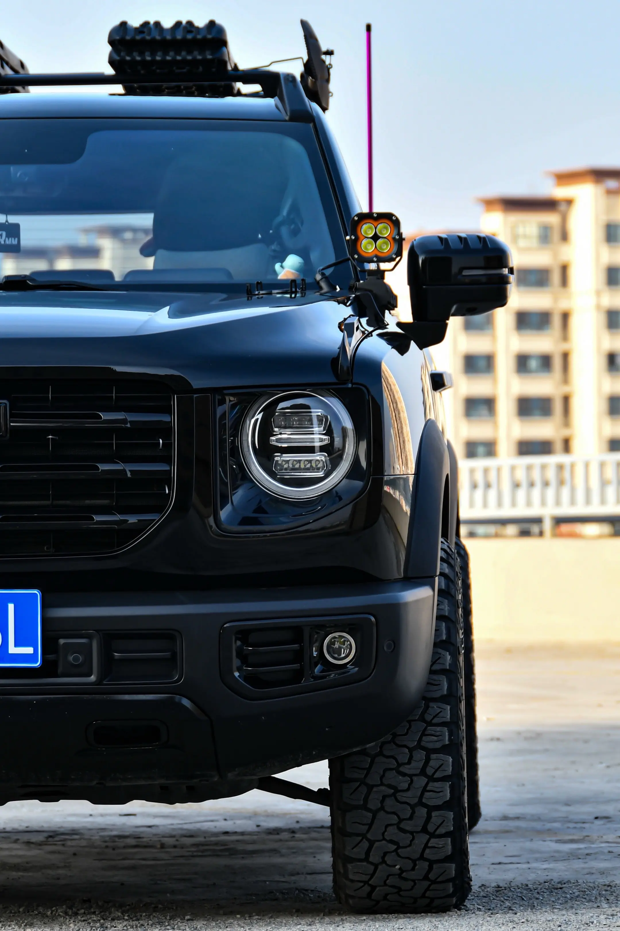 有没有盆栽组 报道了