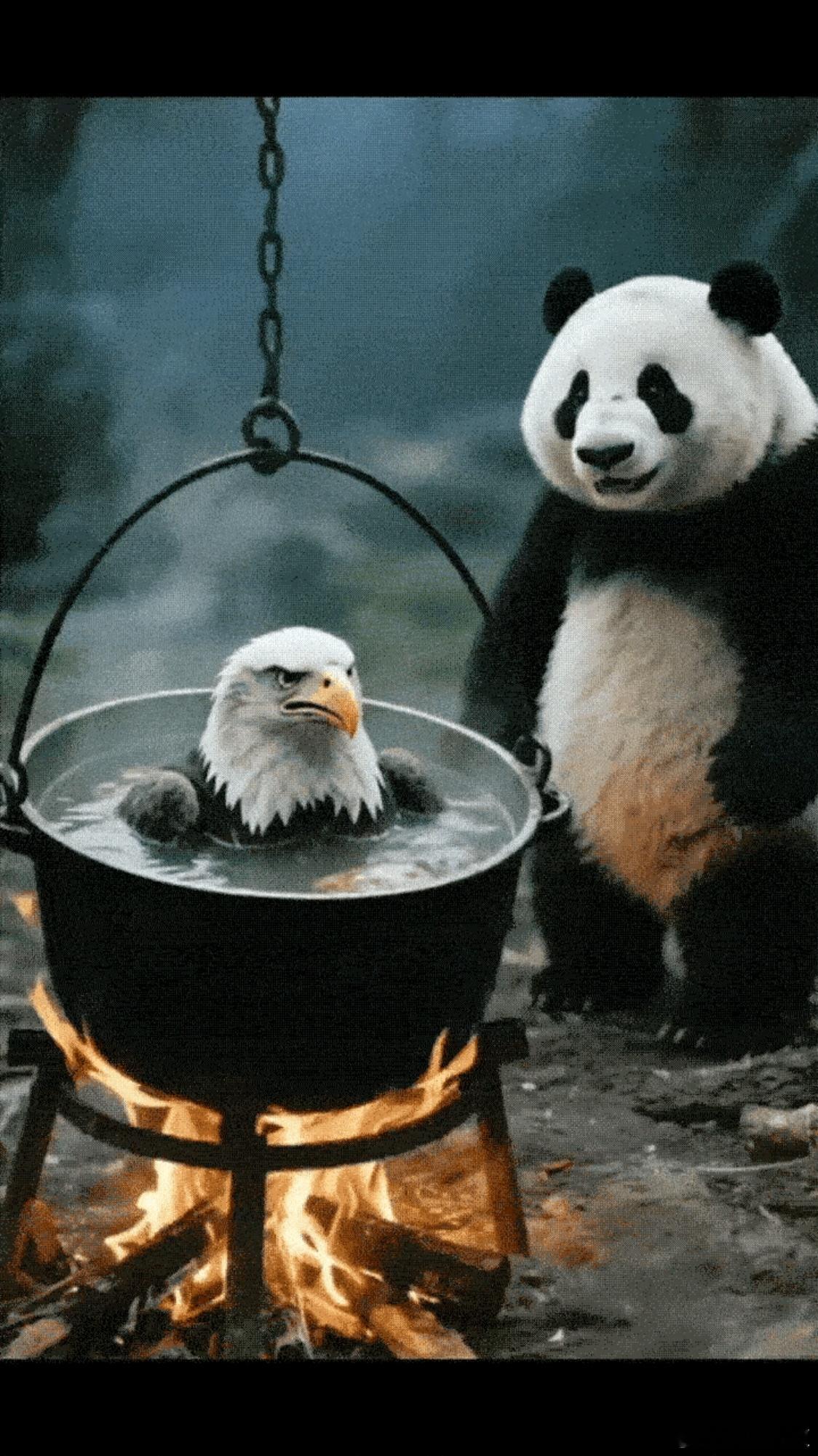 大国试了一下水温，看起来水温还是不高，鹰酱还在逍遥游泳。大国邀请193个国家参加