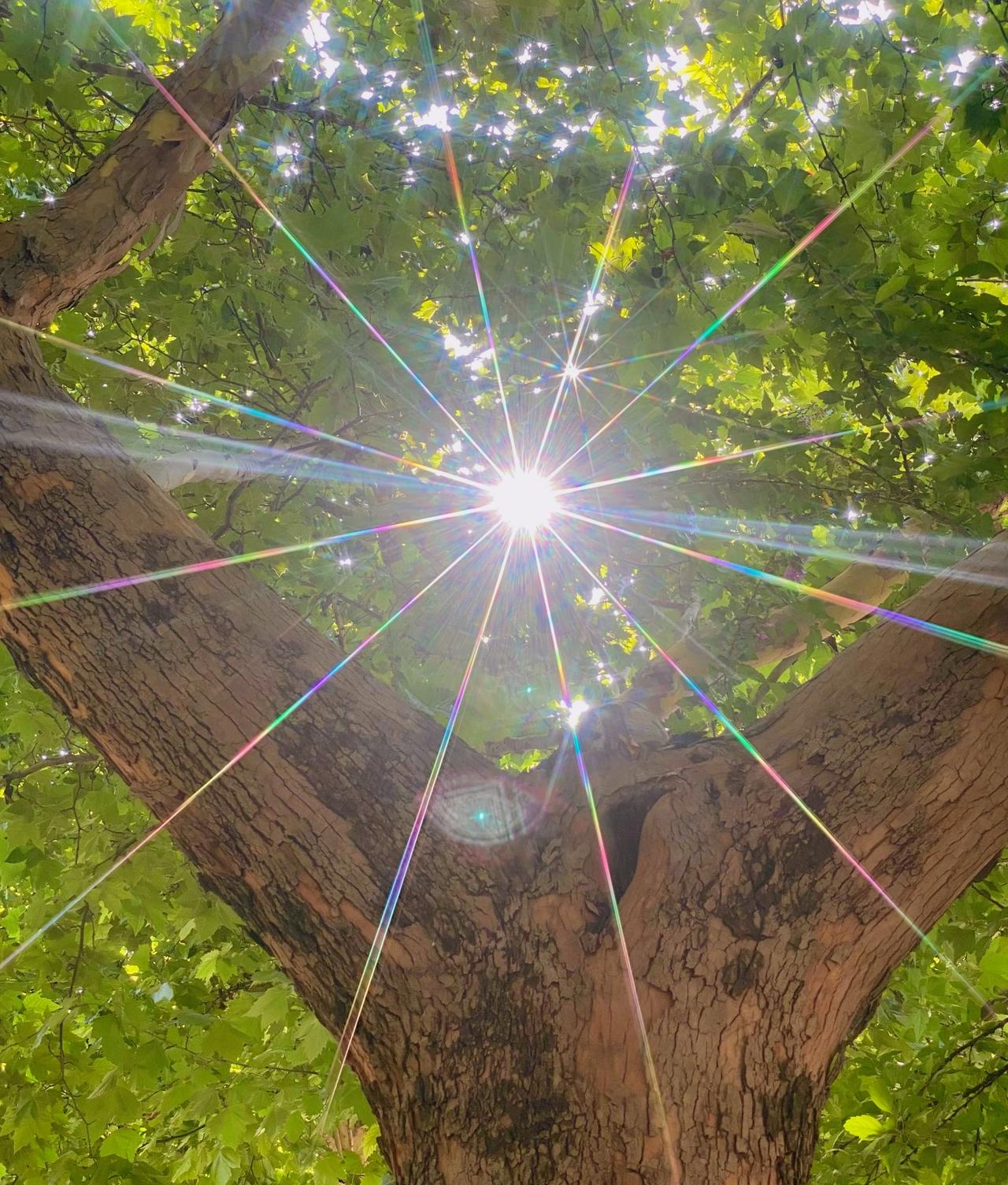 刘震云：）你才是主角，人活着就一条路，就是必须成为一个强者活着，就是到哪儿都让