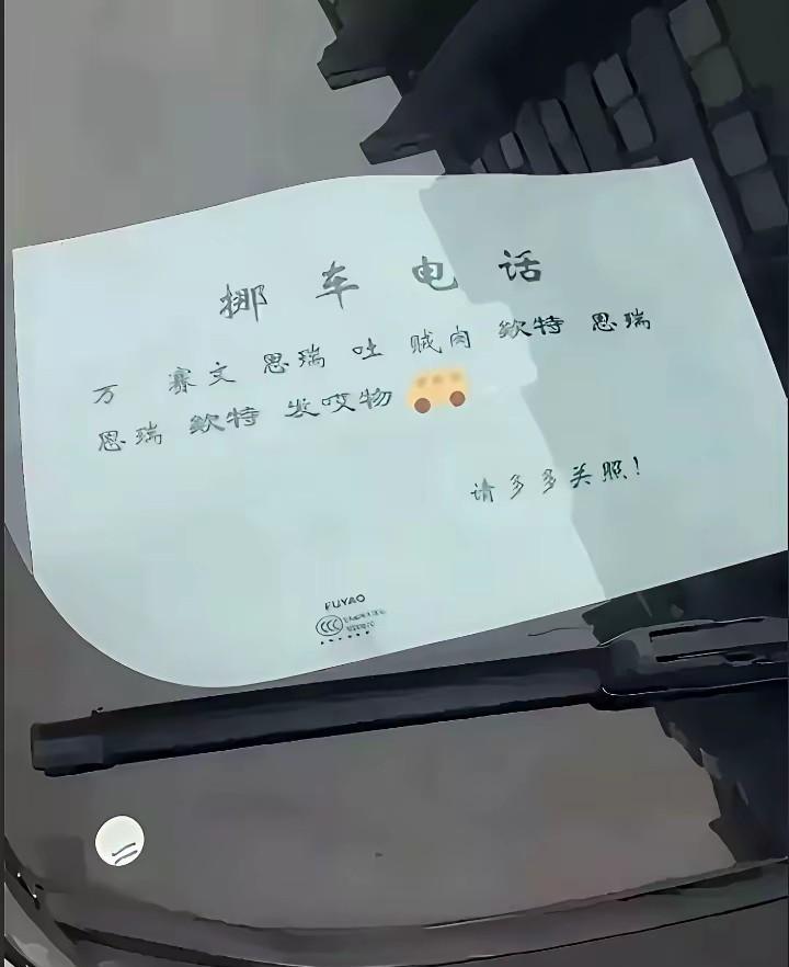 她就是故意不想挪车！搞的挪车电话复杂得跟密码似的，也太坏了。我文化水平有限，压根