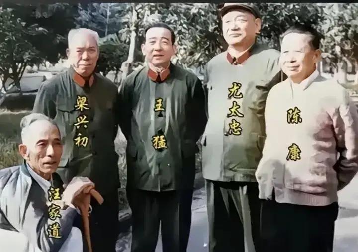 1982年，梁兴初、汪家道、陈康、王猛、尤太忠几位开国将军相聚广州，留下这张弥足