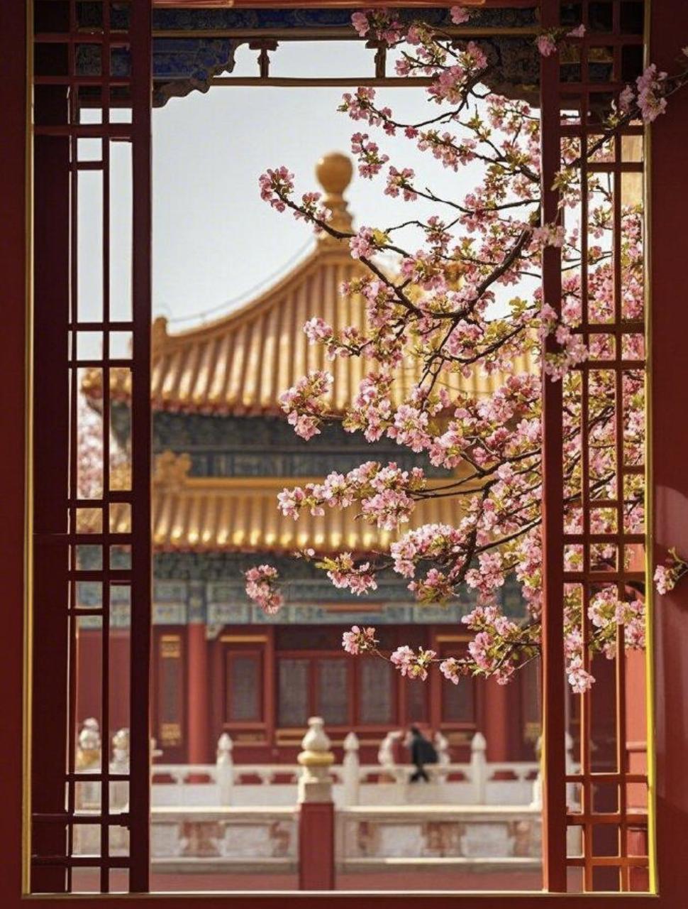 道家有个说法，叫“心神不宁，万劫皆空”世人终其一生，都在干一件蠢事——拿自己