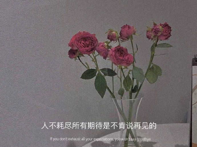 “认清一个男人，四个度就够了，回你消息的速度，为你花钱的额度，吵架后的态度，包容