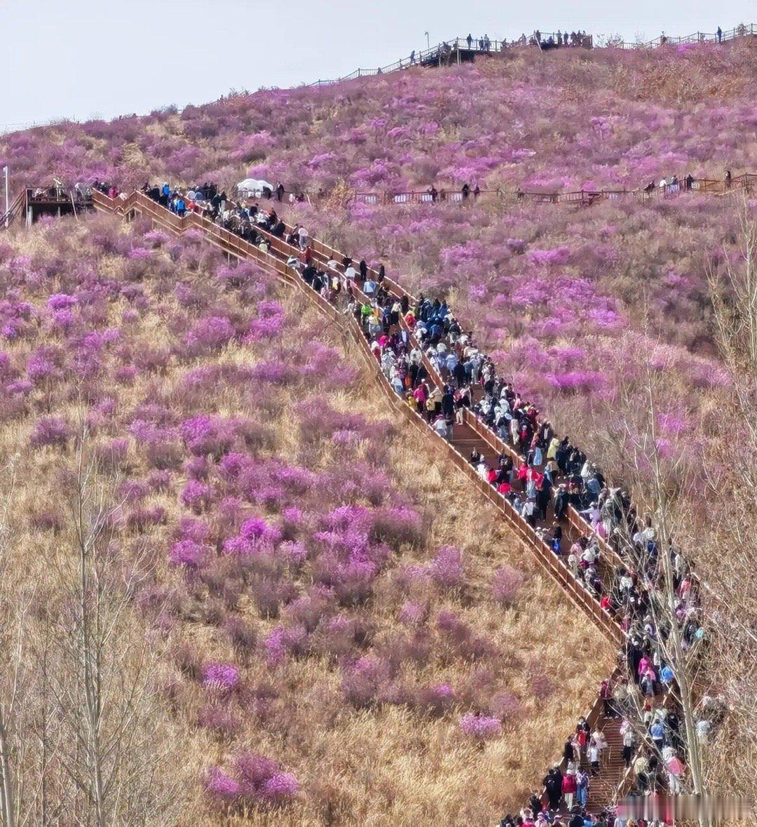 炒股是投资，错，炒股是投机，错，炒股是赌博，错，那炒股是什么，炒股是炒人性，你不