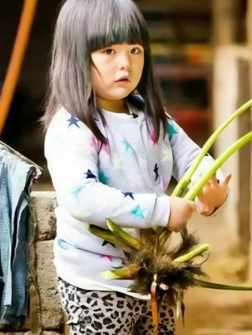 王诗龄这辈子唯一吃过的苦就是参加爸爸去哪儿了吧