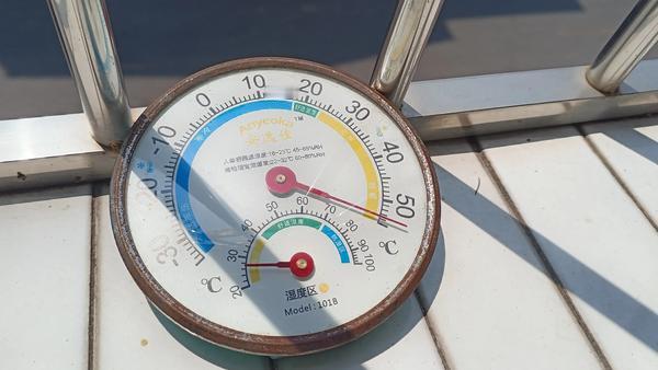 25℃！破纪录！紧急提醒：千万别被这波“假春天”骗了！家人们，快看！一场史无