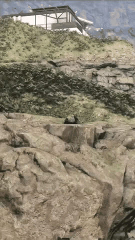 战场上狙击手很重要