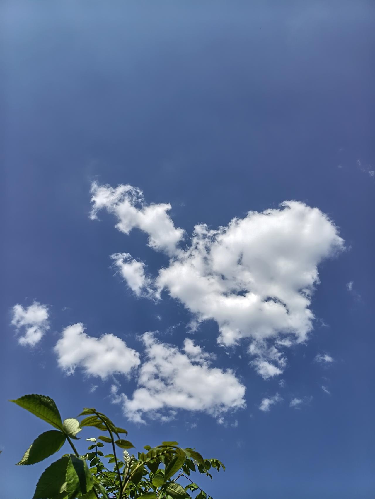 阿冬六十岁的妈妈这段时间不止一次的对阿冬说：“你家孩子年龄小，才十八岁，她的工资