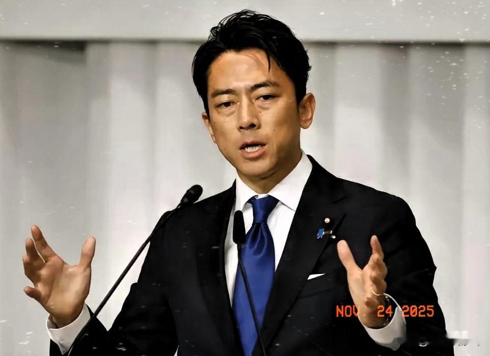 中方的警告日本一句听不进去，是因为我们还没有打到它的“七寸”。小泉进次郎敢在石垣