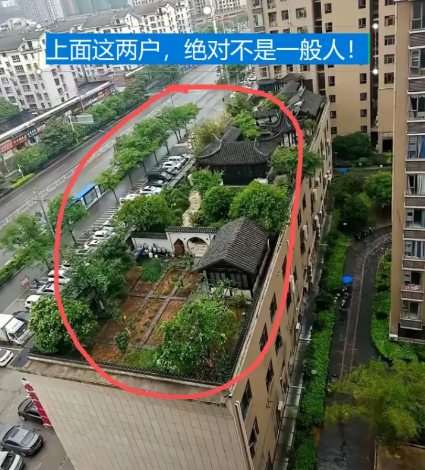 上面这两户，绝对不是一般人！