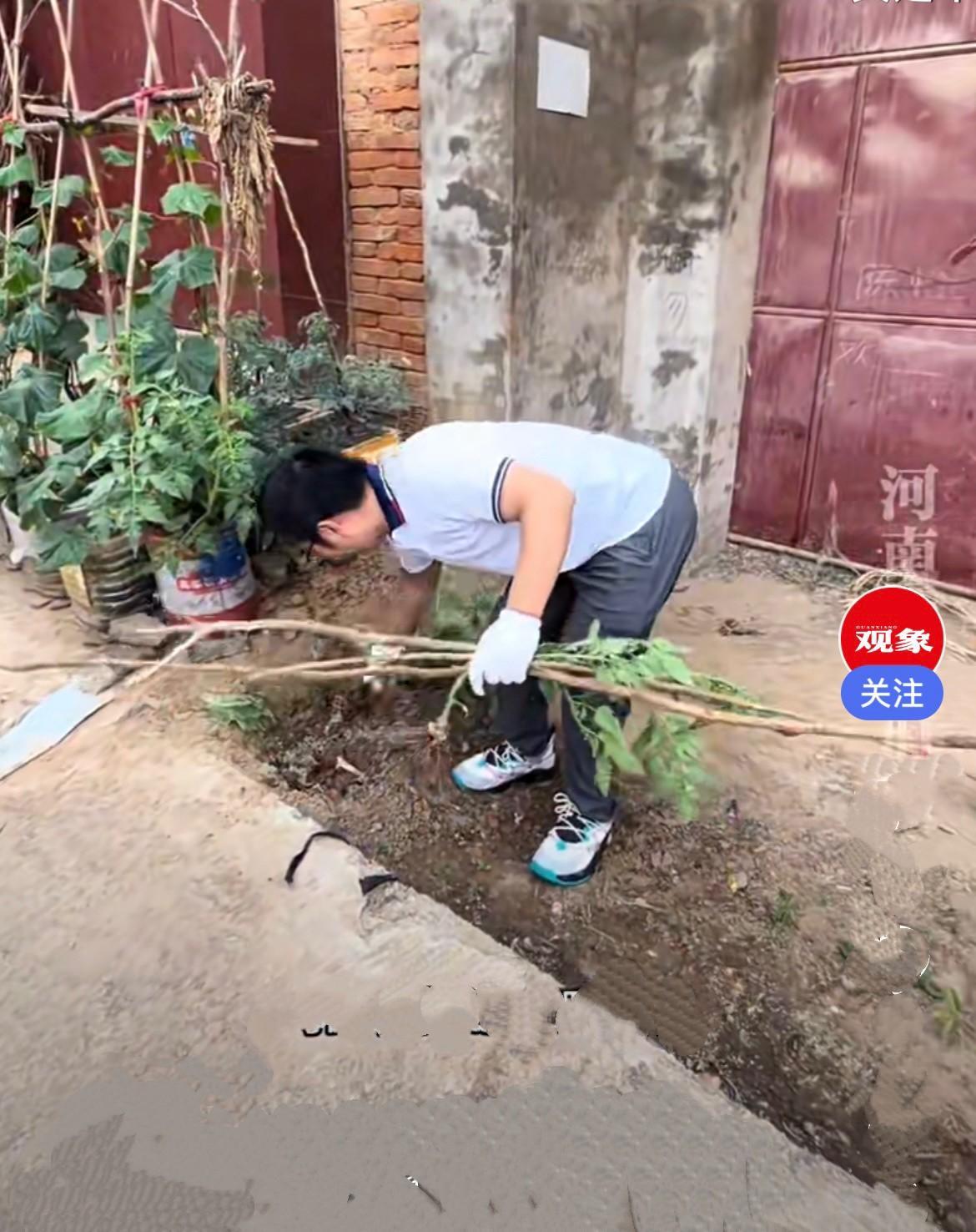 近日，河南一男子回老家，刚走到大门口傻眼了……回老家，一脚踩进门口的番茄地，