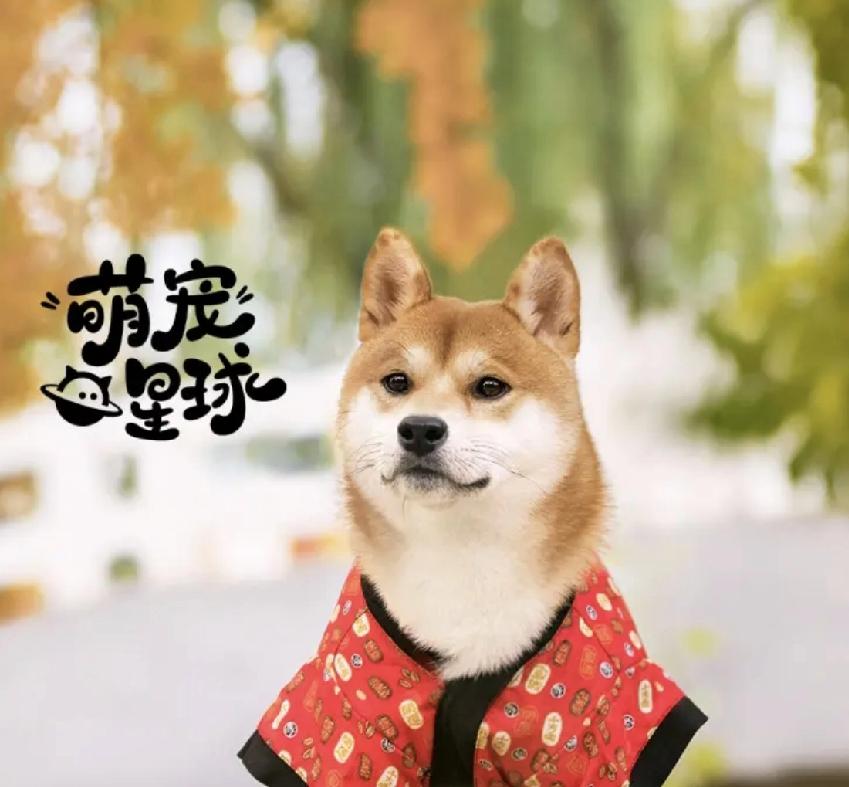 上海地铁涨不涨都要坐。因为这是唯一最优解。从成本支出来说是最低的。但是如能