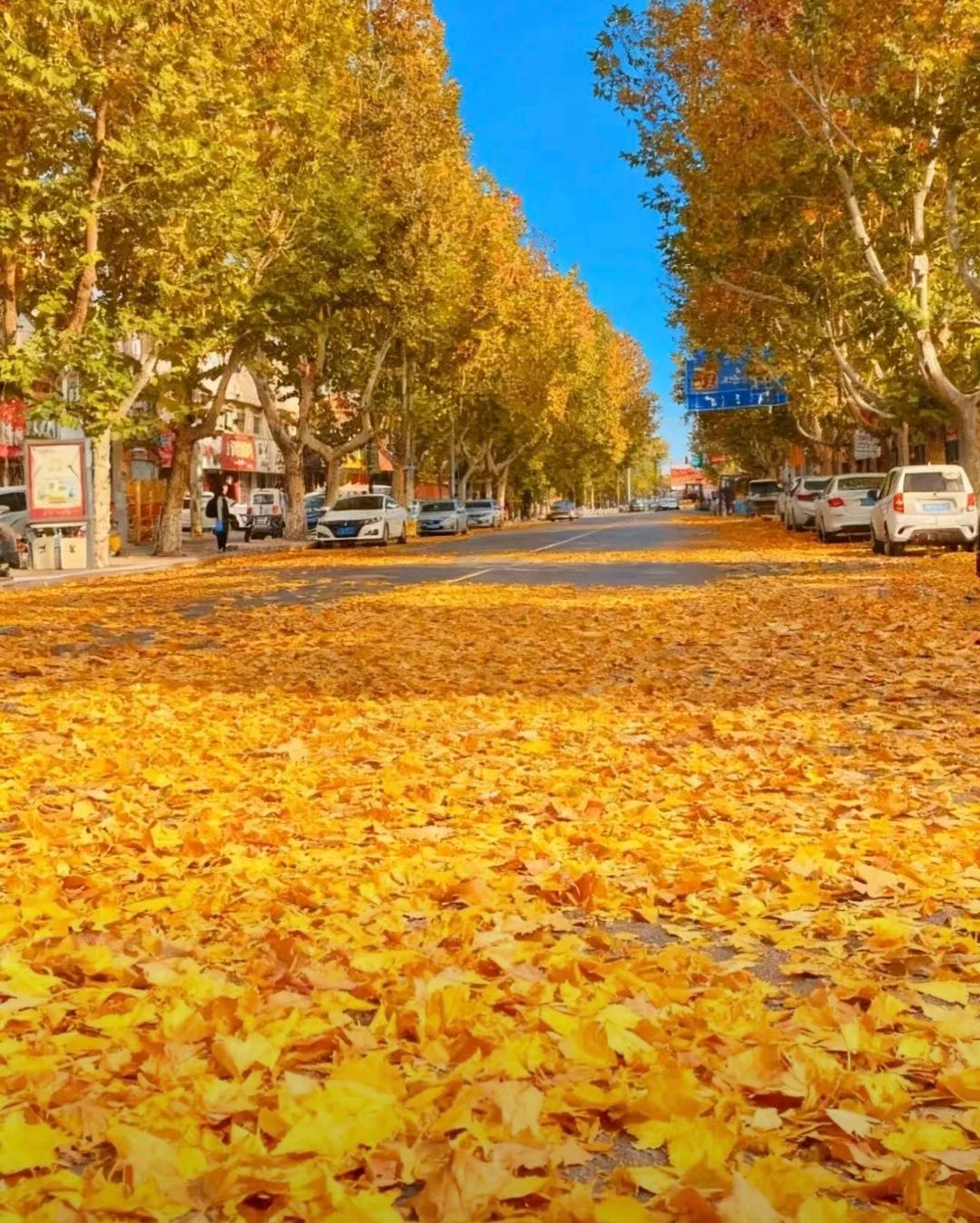 1.98岁的奶奶终于去世了我几个伯伯和叔叔彻底松了口气我奶奶98岁了，身体硬