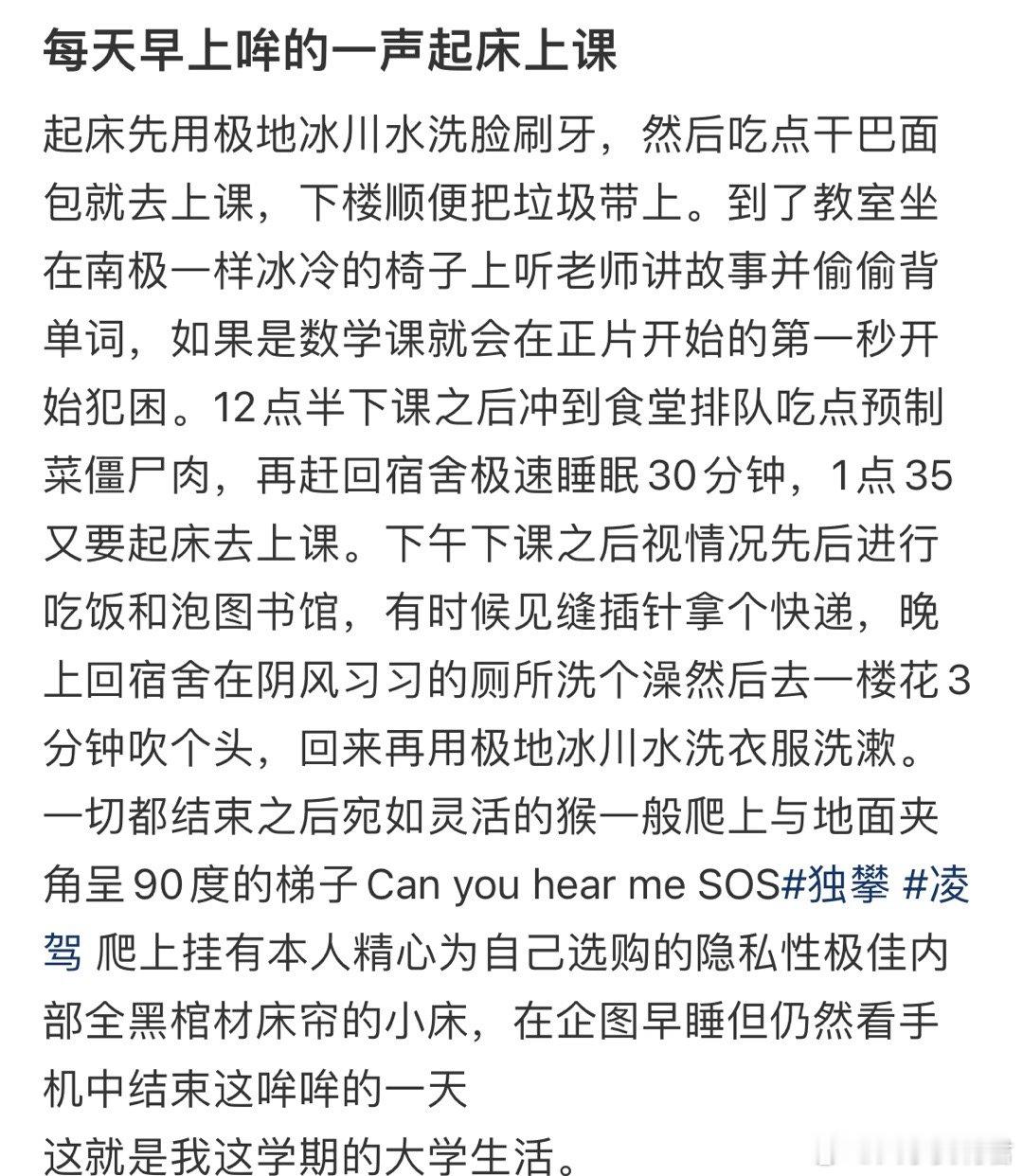 每天早上哞的一声起床上课