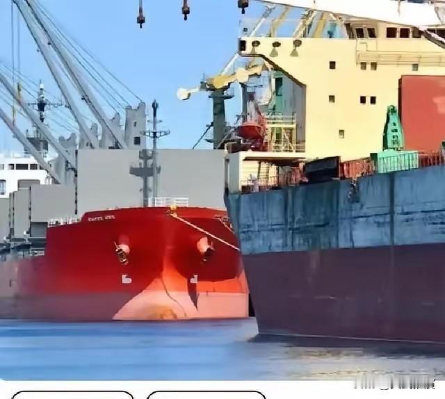 当一船满载6.9万吨巴西大豆的货轮靠泊江苏泰州码头时，谁也没想到，大豆中混入了约