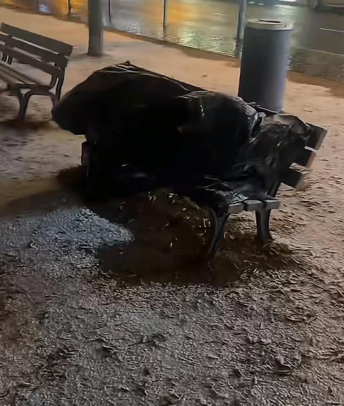 德国法兰克福，华人男子看到一个躺在路边长椅的人，问了才知道是一个大连女子，由于没