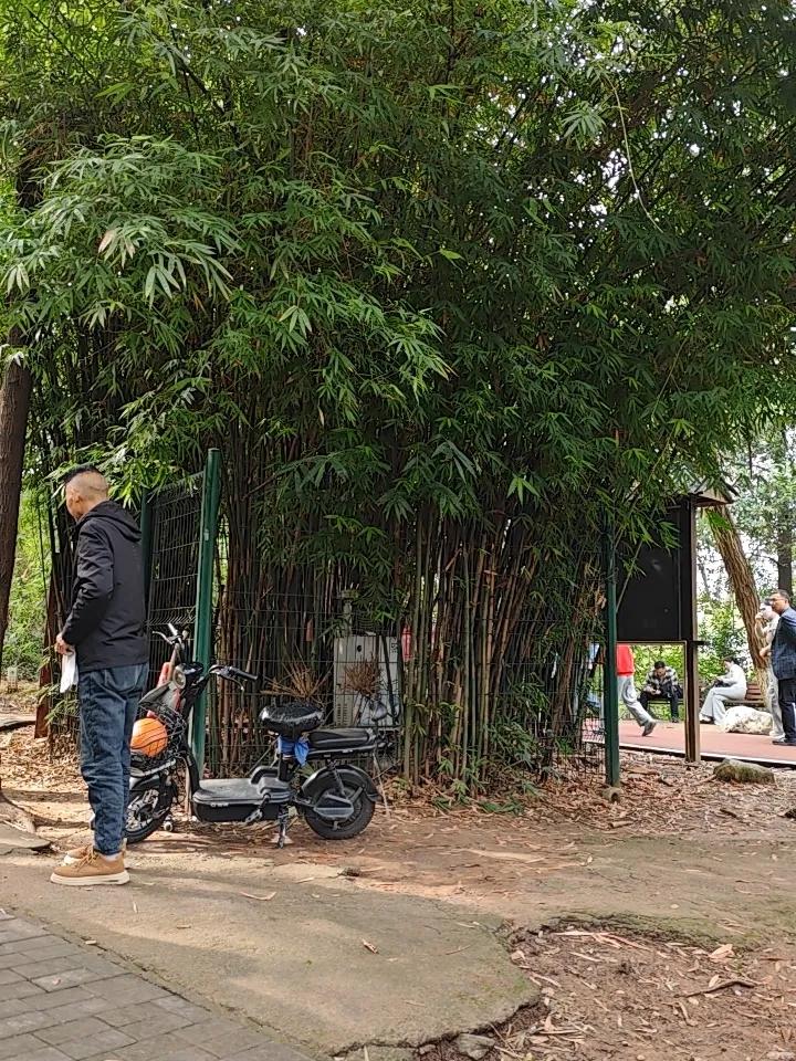 当前,中小学教师正高级职称的评审难度极为突出。据统计,正高级职称名额占教师总数的