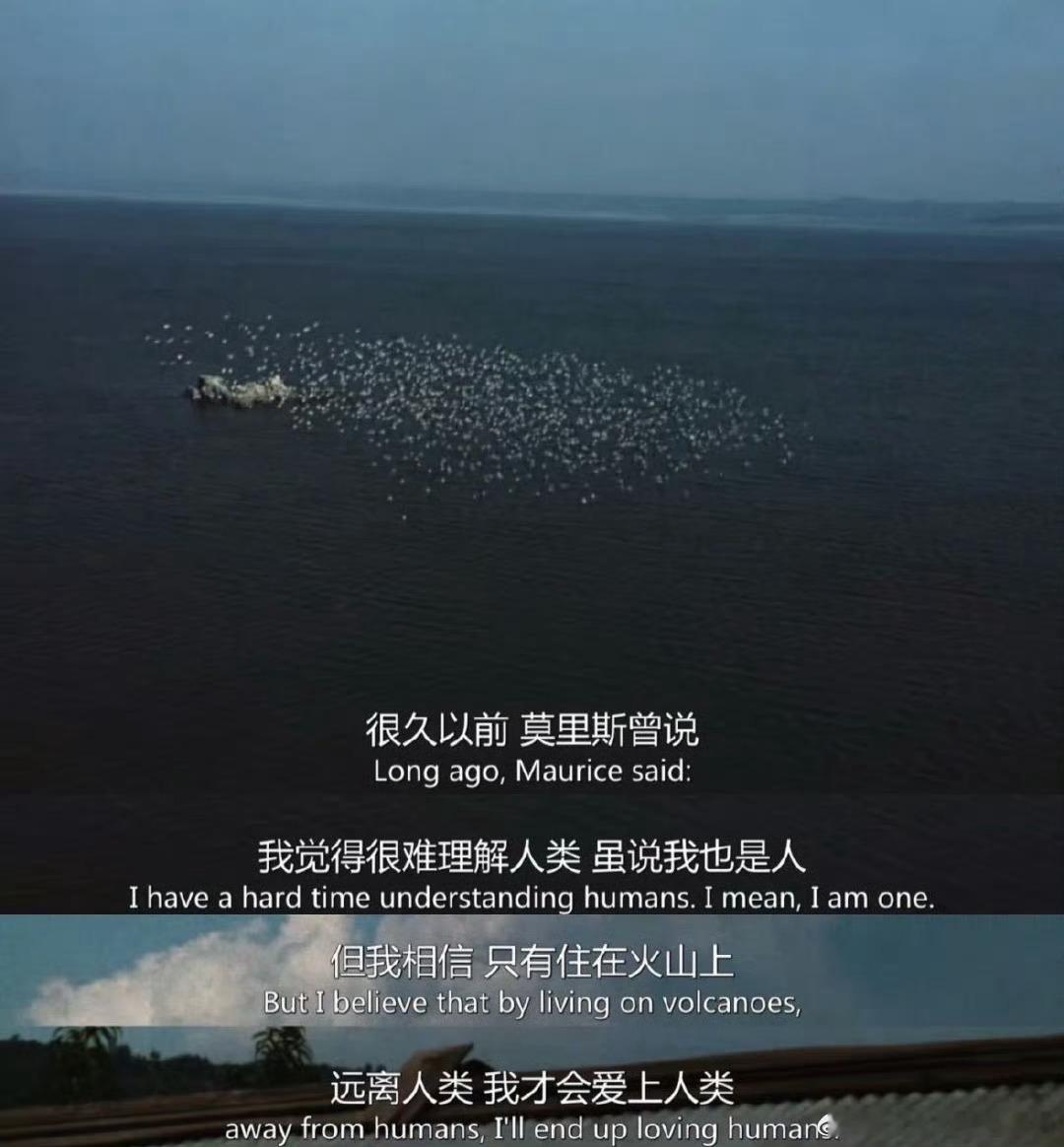 远离人类才会爱上人类《火山挚恋》​​​
