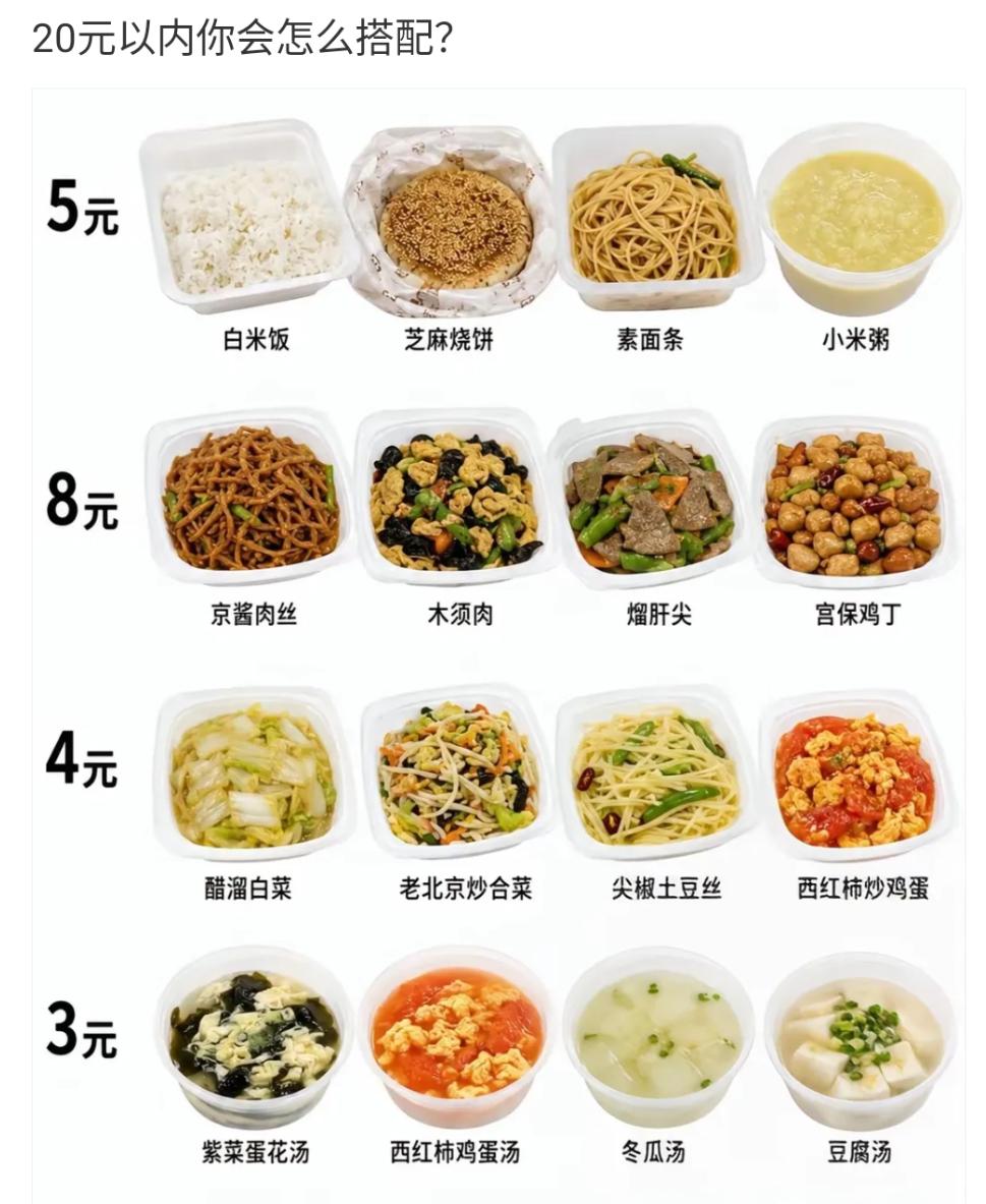 假如你现在身上只有20元，想要吃顿好的，这些饭菜你会如何搭配购买？