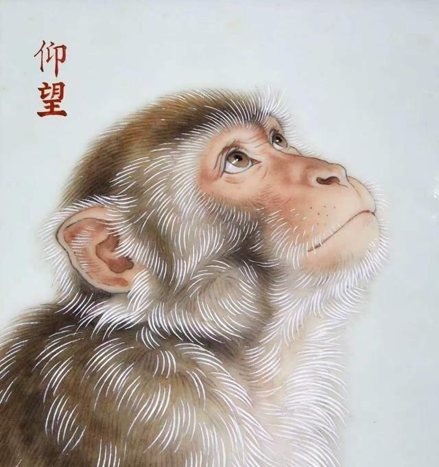 属猴的，水逆终于要结束了。就今晚，过了这村没这店，之前的糟心事统统翻篇。以后运气